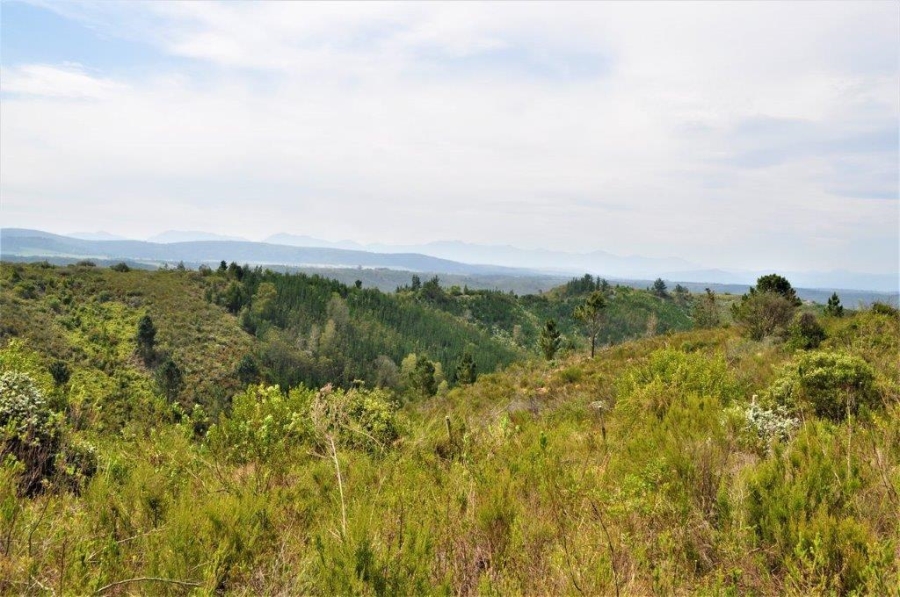 3 Bedroom Property for Sale in Plettenberg Bay Rural Western Cape